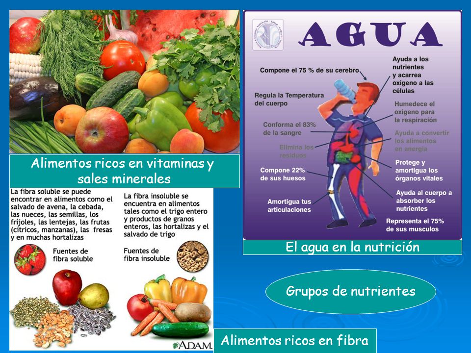 Vitaminas y que cumplen minerales sales las funcion